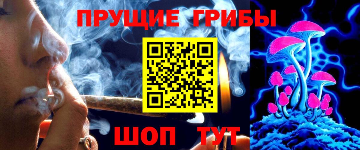 Псилоцибиновые грибы GOLDEN TEACHER Североуральск