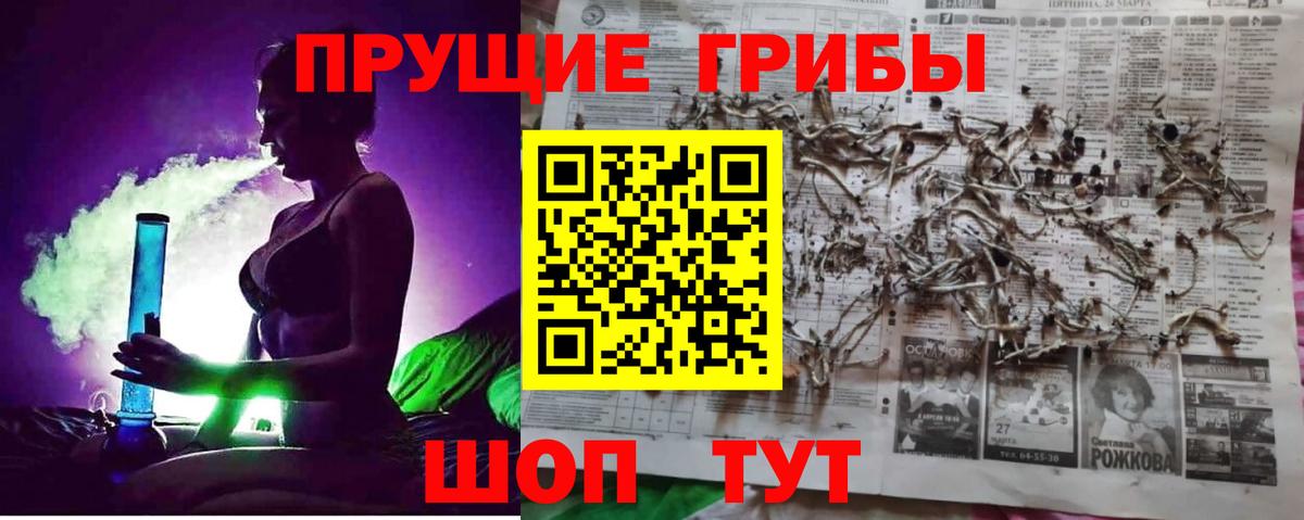 Псилоцибиновые грибы Cubensis  купить наркоту  Североуральск  Вход с VPN 